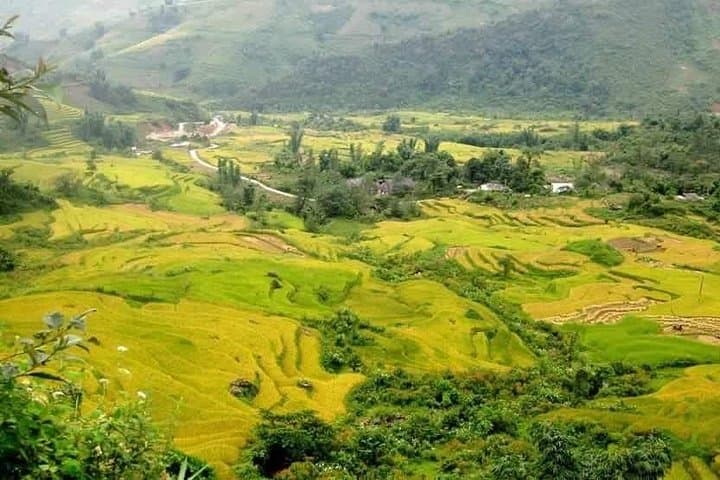 Two-Day Sapa Trek and Homestay in Ta Van: Rice Terraces, Ethnic Villages, and Muong Hoa Valley photo 4