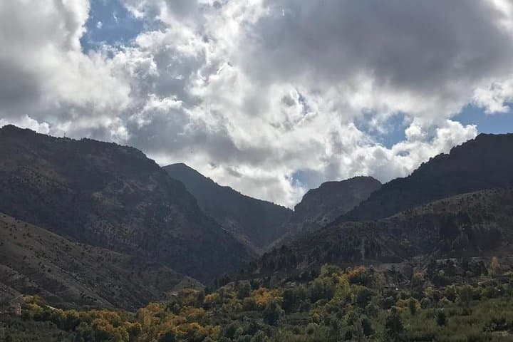 Marrakech Palmeraie to High Atlas: Desert Buggy & Berber Village Trek photo 4