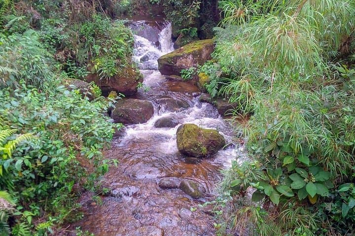 Hike to La Chorrera: Colombia’s Tallest Waterfall from Bogotá photo 2