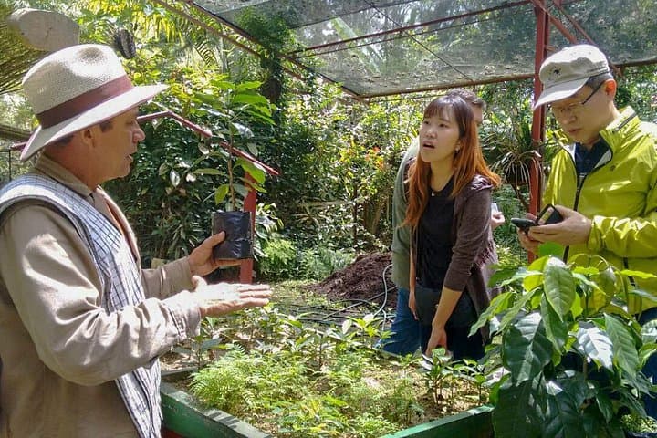 Coffee Plantation Tour from Bogotá — Fusagasugá Hacienda Experience