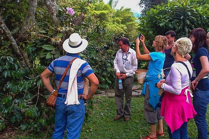 Coffee Plantation Tour from Bogotá — Fusagasugá Hacienda Experience photo 3