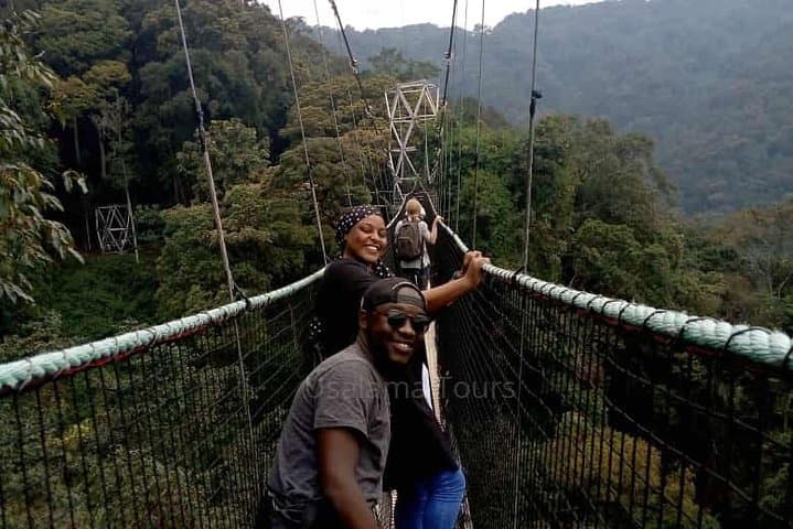 Canopy Walk in Nyungwe Forest: A One-Day Adventure Above Rwanda's Ancient Rainforest photo 3