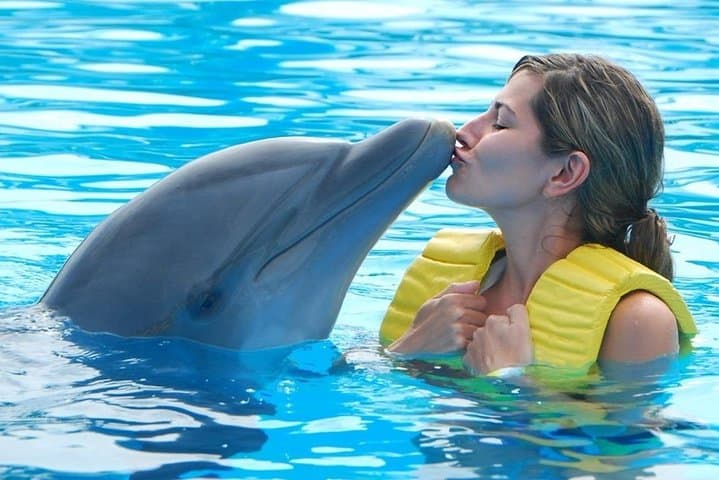 Hurghada Red Sea Fun Cruise: Snorkel Reefs and Search for Dolphins photo 5