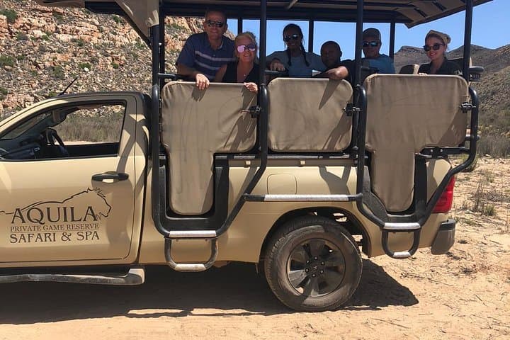 Big 5 Day Safari Near Cape Town: A Malaria-Free Game Drive Adventure photo 3