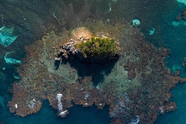 Los Haitises Kayaking: 4-Hour Mangroves, Caves & Pictographs from Sabana de la Mar