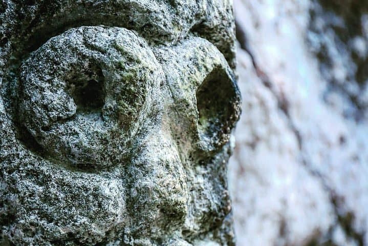 Los Haitises Kayaking: 4-Hour Mangroves, Caves & Pictographs from Sabana de la Mar photo 2
