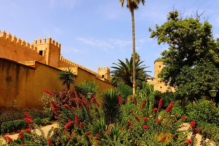 10 Days: Imperial Cities, High Atlas & Erg Chebbi Desert from Casablanca photo 6