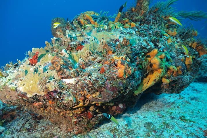 PADI Open Water Diver Course in Playa del Carmen: 3-Day Certification with Underwater Video photo 5