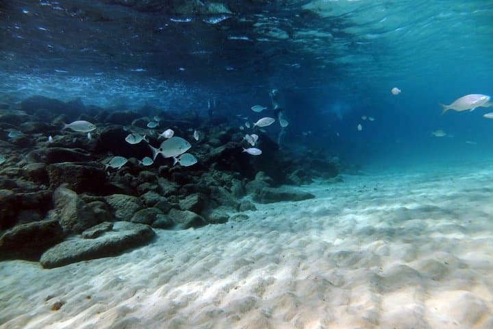 Beginner Scuba Diving in Costa Teguise, Lanzarote — Try a Shore Dive photo 4