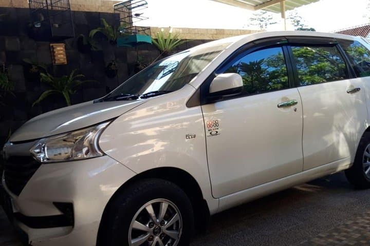 Customize Your Bali Day Trip: Private Driver to Ubud, Beaches & Gate of Heaven photo 6