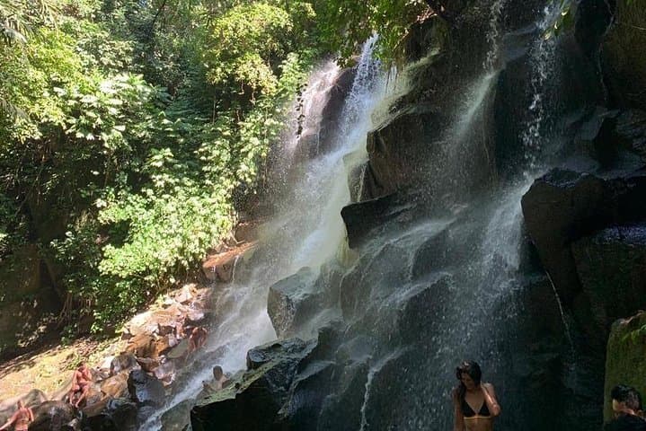Customize Your Bali Day Trip: Private Driver to Ubud, Beaches & Gate of Heaven photo 5