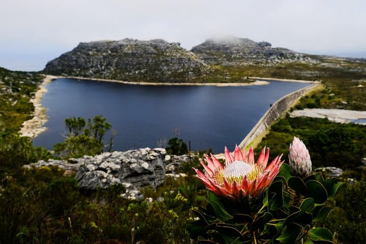 Table Mountain Summit Hike via Kasteelspoort — Camp's Bay to the Upper Cable Station photo 2