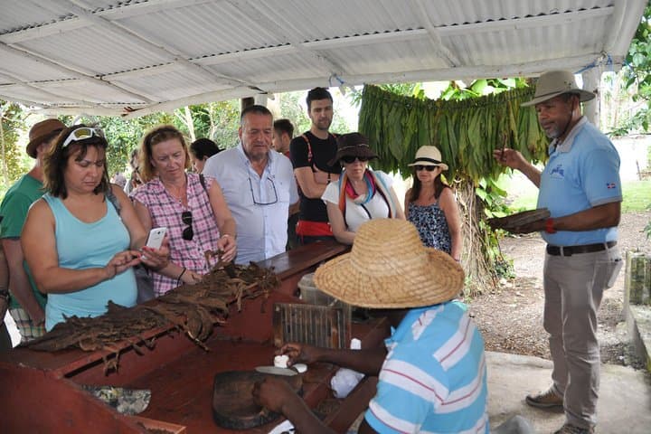 Safari Supreme Punta Cana: Full-Day Ranch, River & Macao Beach Adventure photo 4
