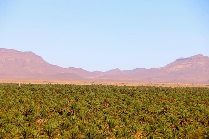 Day Trip from Zagora to Erg Chegaga Dunes — 4x4 Adventure, Camel Ride & Sandboarding photo 3