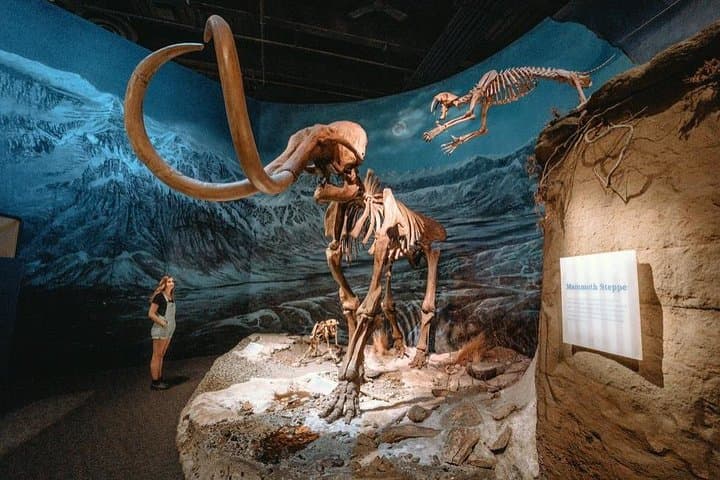 Day Trip to Drumheller: Hoodoos Trail & Royal Tyrrell Museum photo 2