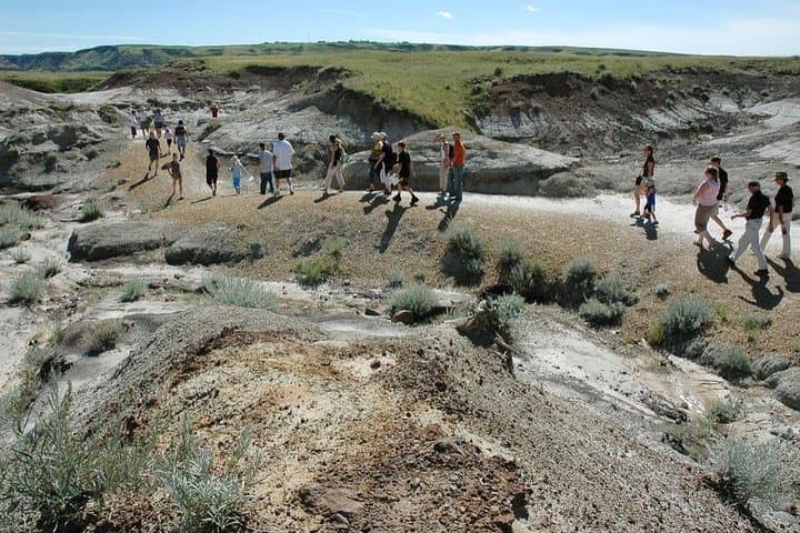 Day Trip to Drumheller: Hoodoos Trail & Royal Tyrrell Museum photo 6