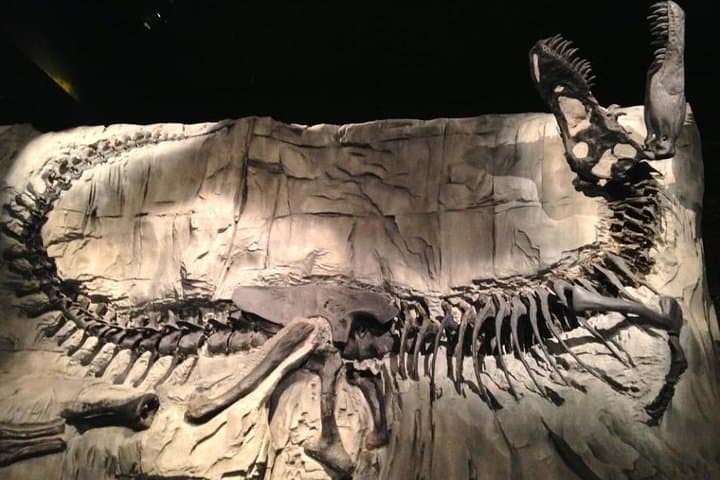 Day Trip to Drumheller: Hoodoos Trail & Royal Tyrrell Museum photo 4
