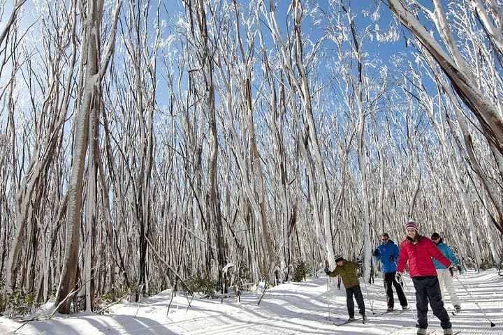 Private Snow Tour to Lake Mountain — Full-Day Snow Play from Melbourne (Jun–Sep) photo 2