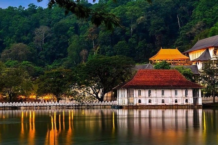 8-Day Private Cycling Tour of Sri Lanka from Colombo: Tea Plantations, Ancient Cities & Coastal Lagoons photo 2