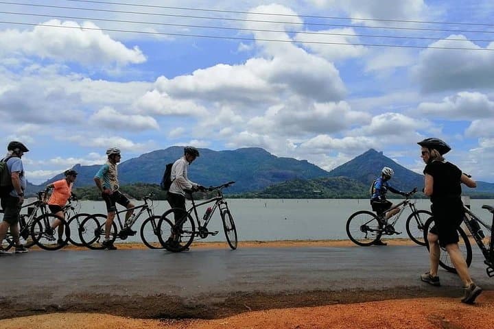 8-Day Private Cycling Tour of Sri Lanka from Colombo: Tea Plantations, Ancient Cities & Coastal Lagoons photo 3