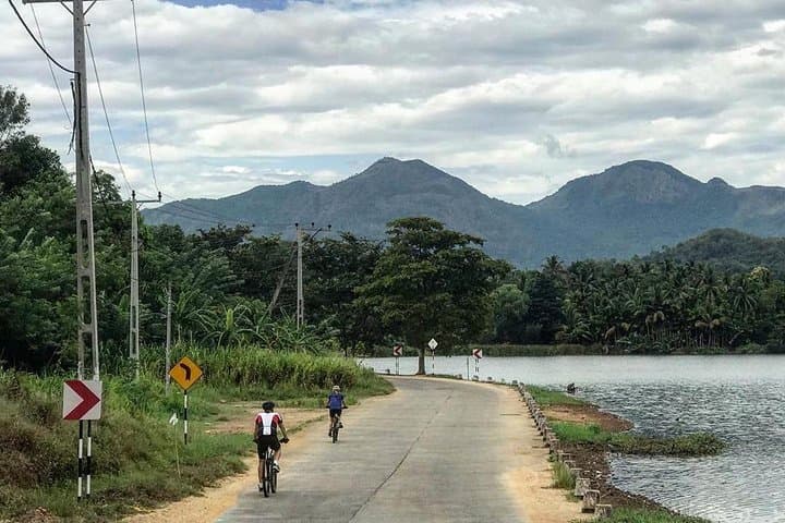 8-Day Private Cycling Tour of Sri Lanka from Colombo: Tea Plantations, Ancient Cities & Coastal Lagoons photo 4