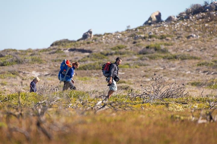 Cape Point Private Nature Tour & Hike — Cape of Good Hope Day Trip from Cape Town photo 3
