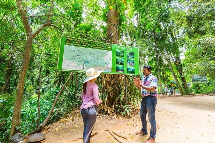 Udawatte Kele Nature Walk: Birding, Monastic Caves & Canopy Trails in Kandy