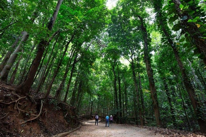 Udawatte Kele Nature Walk: Birding, Monastic Caves & Canopy Trails in Kandy photo 4