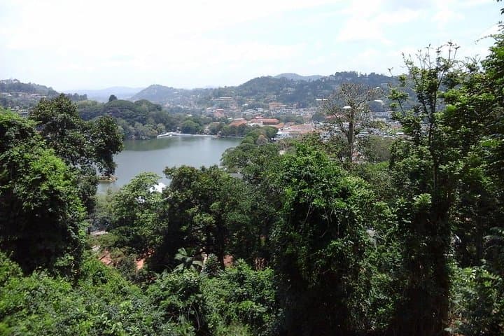 Udawatte Kele Nature Walk: Birding, Monastic Caves & Canopy Trails in Kandy photo 5