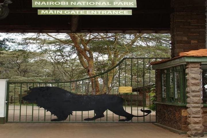Exploring Nairobi’s Wildlife: A Private Tour of Giraffe Center and Nairobi National Park photo 6