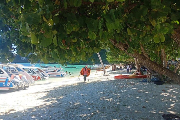 Private Speed Boat to Maya Bay & Phi Phi Islands from Phuket photo 6