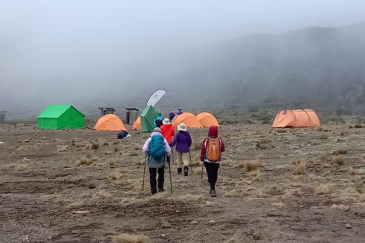 Kilimanjaro Experience: 7-Day Lemosho Route Guide photo 4