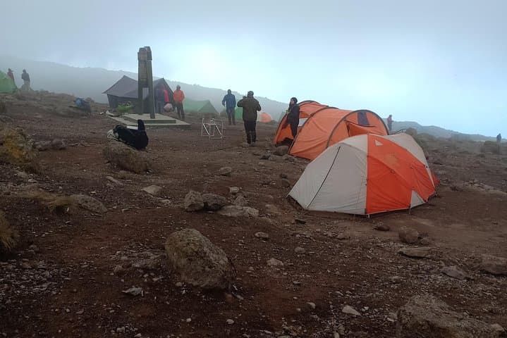 Kilimanjaro Experience: 7-Day Lemosho Route Guide photo 5