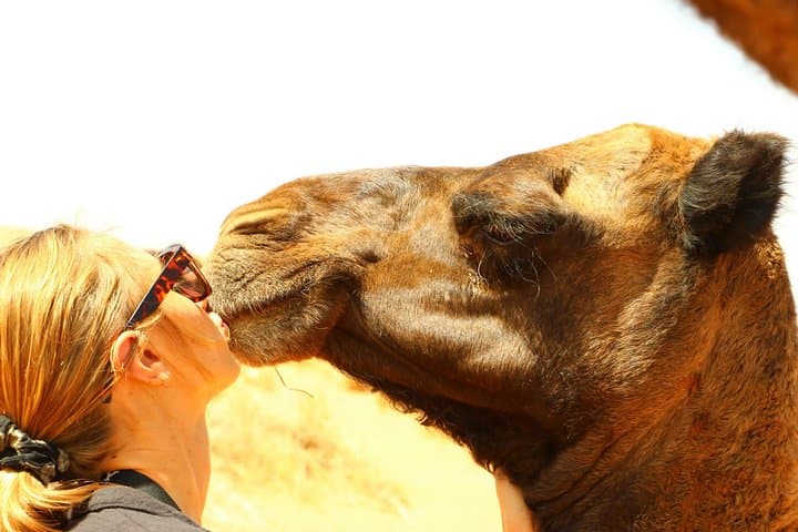 Big Kasbah Explorer: 7-Day Private Morocco Tour from Casablanca photo 2