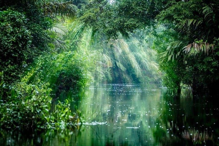 Exploring Tortuguero National Park: A Day Trip from San Jose into Costa Rica’s Wildlife Haven photo 2