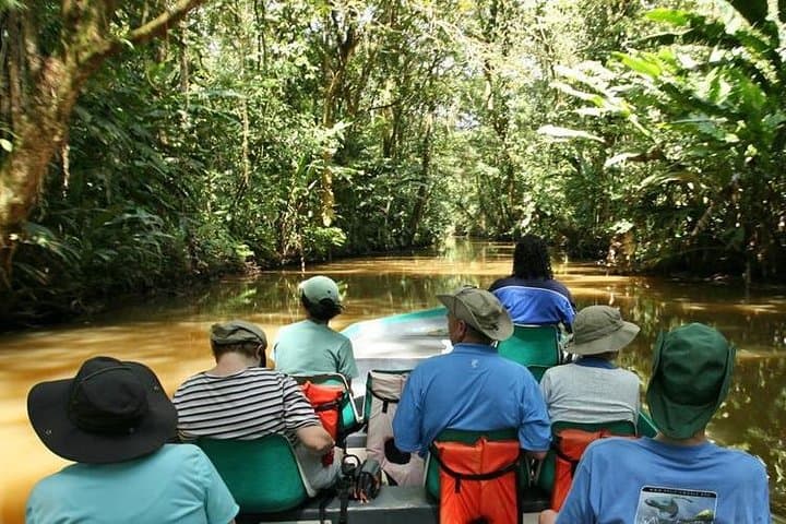 Exploring Tortuguero National Park: A Day Trip from San Jose into Costa Rica’s Wildlife Haven