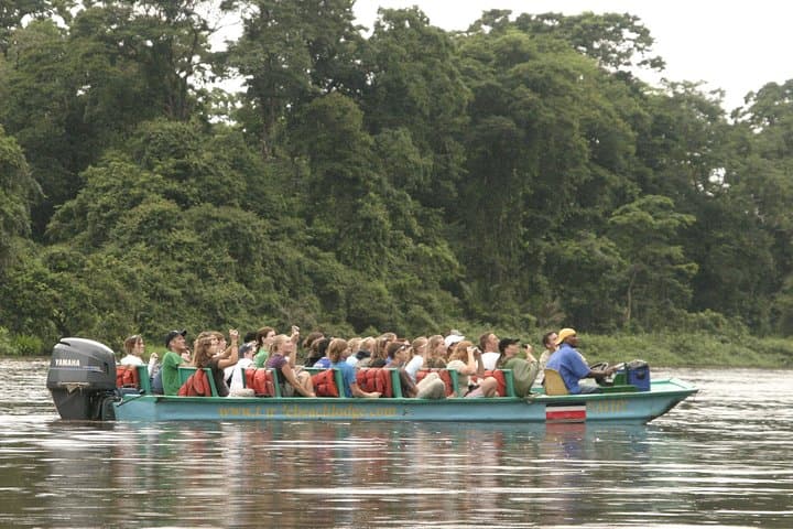 Exploring Tortuguero National Park: A Day Trip from San Jose into Costa Rica’s Wildlife Haven photo 3
