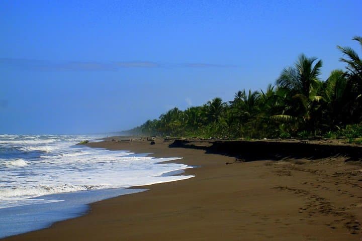 Exploring Tortuguero National Park: A Day Trip from San Jose into Costa Rica’s Wildlife Haven photo 4
