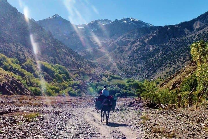 3-Day Berber Villages Trek Through the High Atlas from Marrakech photo 6