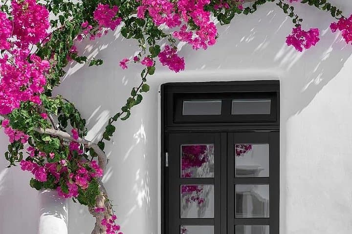 Private Mykonos Old Town Walking Tour — Windmills, Little Venice & Paraportiani photo 2