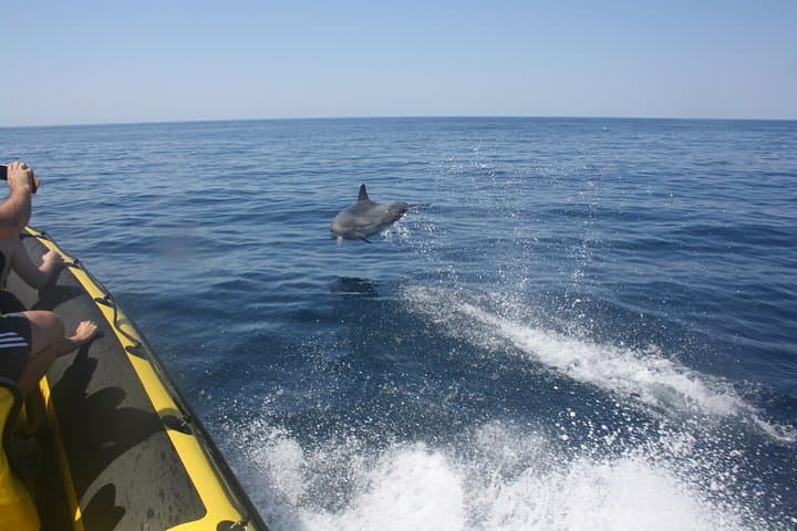 Benagil Caves & Dolphin-Watching Cruise from Albufeira: Coastal Boat Tour Guide photo 5