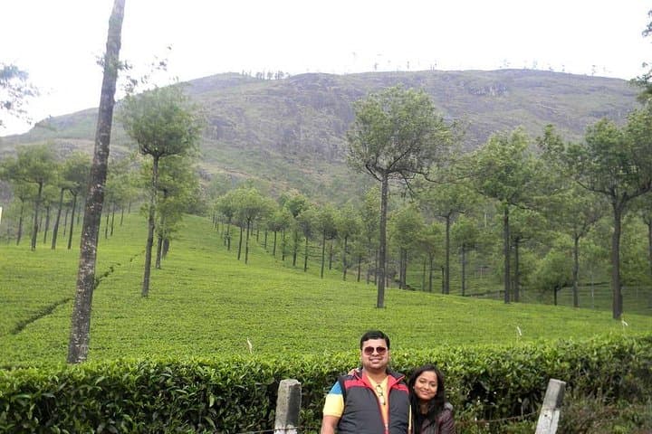 South India in 6 Nights: Munnar Tea Hills, Periyar Wildlife & Alleppey Backwaters photo 3
