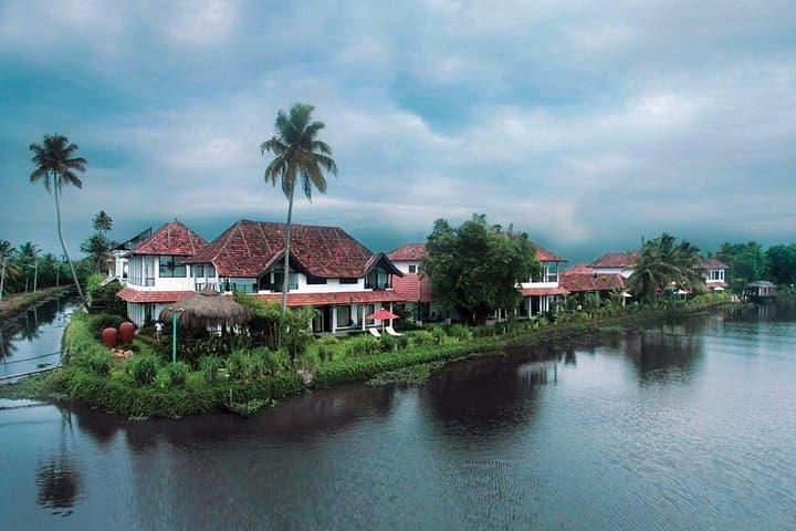 South India in 6 Nights: Munnar Tea Hills, Periyar Wildlife & Alleppey Backwaters photo 4