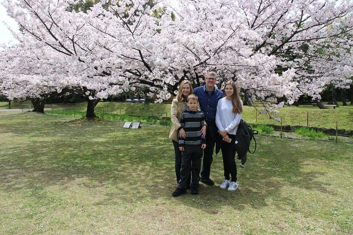 6-Hour Tokyo Highlights by Public Transport — Shrines, Markets & Gardens photo 3