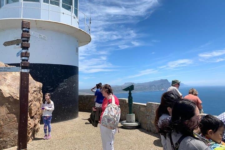 Cape Peninsula & Table Mountain: Full-Day Small-Group Scenic Drive from Cape Town photo 6
