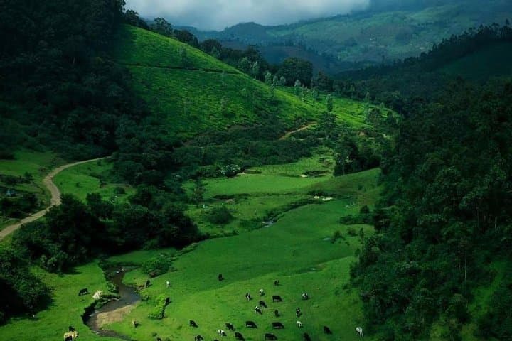 Top Station Day Tour: Munnar's Best Viewpoints, Boating & Tea Estates photo 2