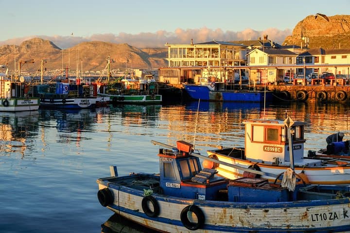 Coastal Wonders: Best of the Cape Peninsula Private Tour from Cape Town photo 6