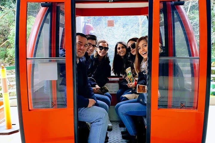 Jeita Grotto, Harissa & Byblos Day Tour from Beirut: Caves, Shrine and Ancient Port