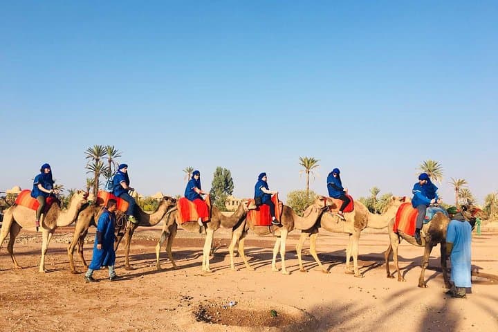 Camel Ride Through La Palmeraie: Marrakech Palm Grove Adventure photo 5