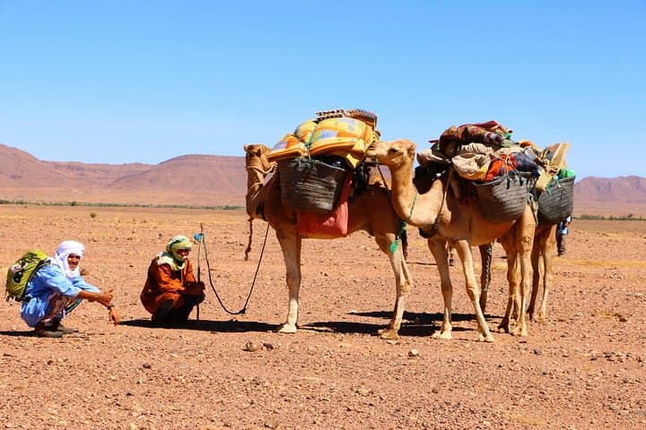 12-Day Ouarzazate Desert Trek — Draa Valley to Erg Chegaga (Private) photo 2